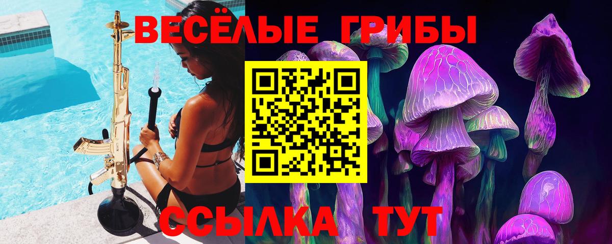 Советская Гавань  Псилоцибиновые грибы Psilocybe  Псилоцибиновые грибы MAGIC MUSHROOMS  Вход с VPN 